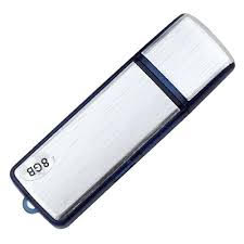 Memory Stick 8gig